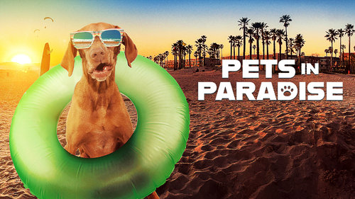 PETS IN PARADISE (1)