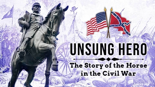 UNSUNG HERO: THE HORSE IN THE CIVIL WAR (1)