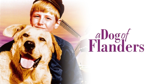 DOG OF FLANDERS, A (1)
