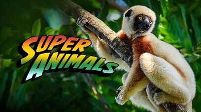 SUPER ANIMALS (1)